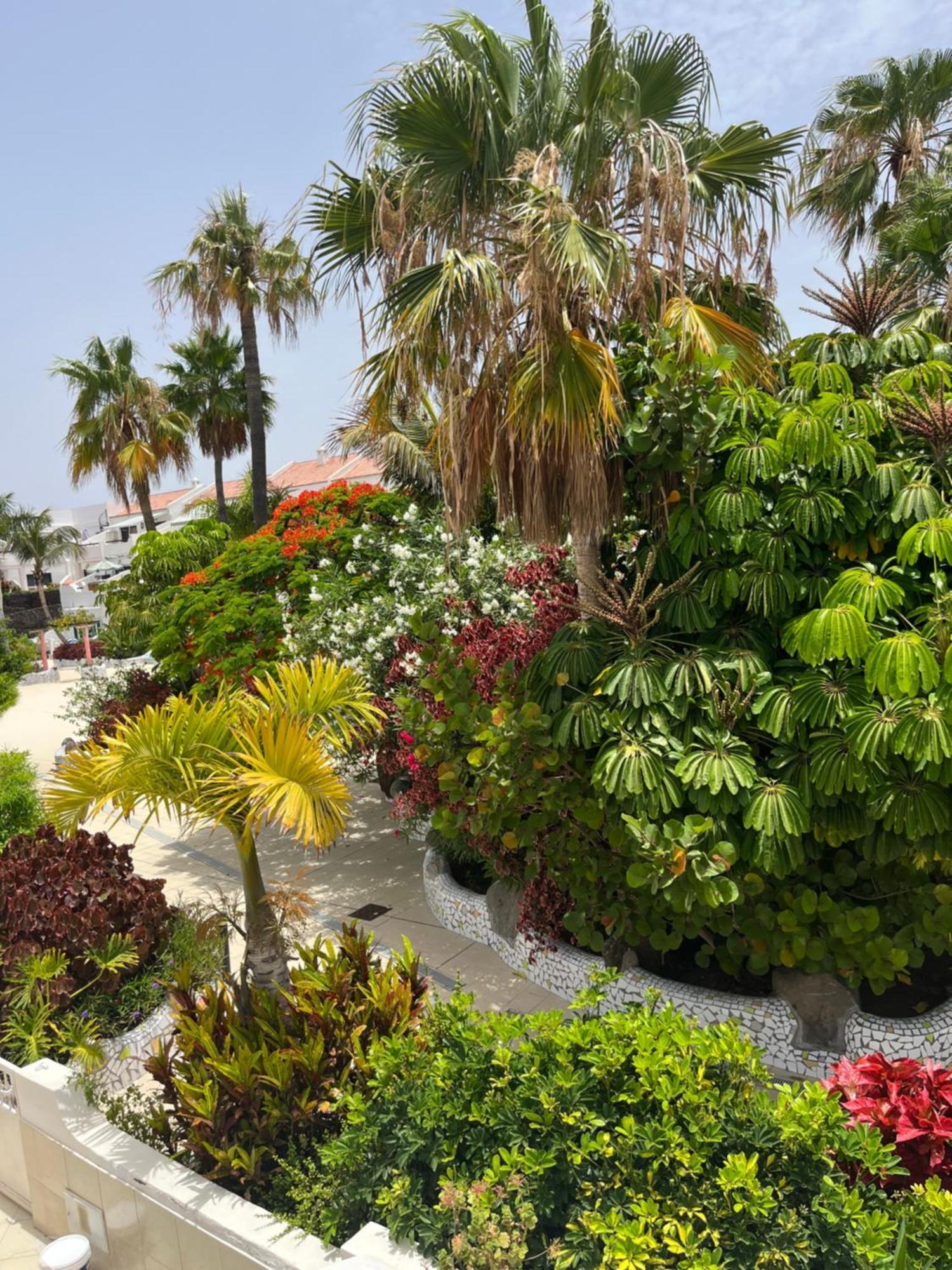 Casa Parque Don Jose 2 Διαμέρισμα Costa Del Silencio Εξωτερικό φωτογραφία