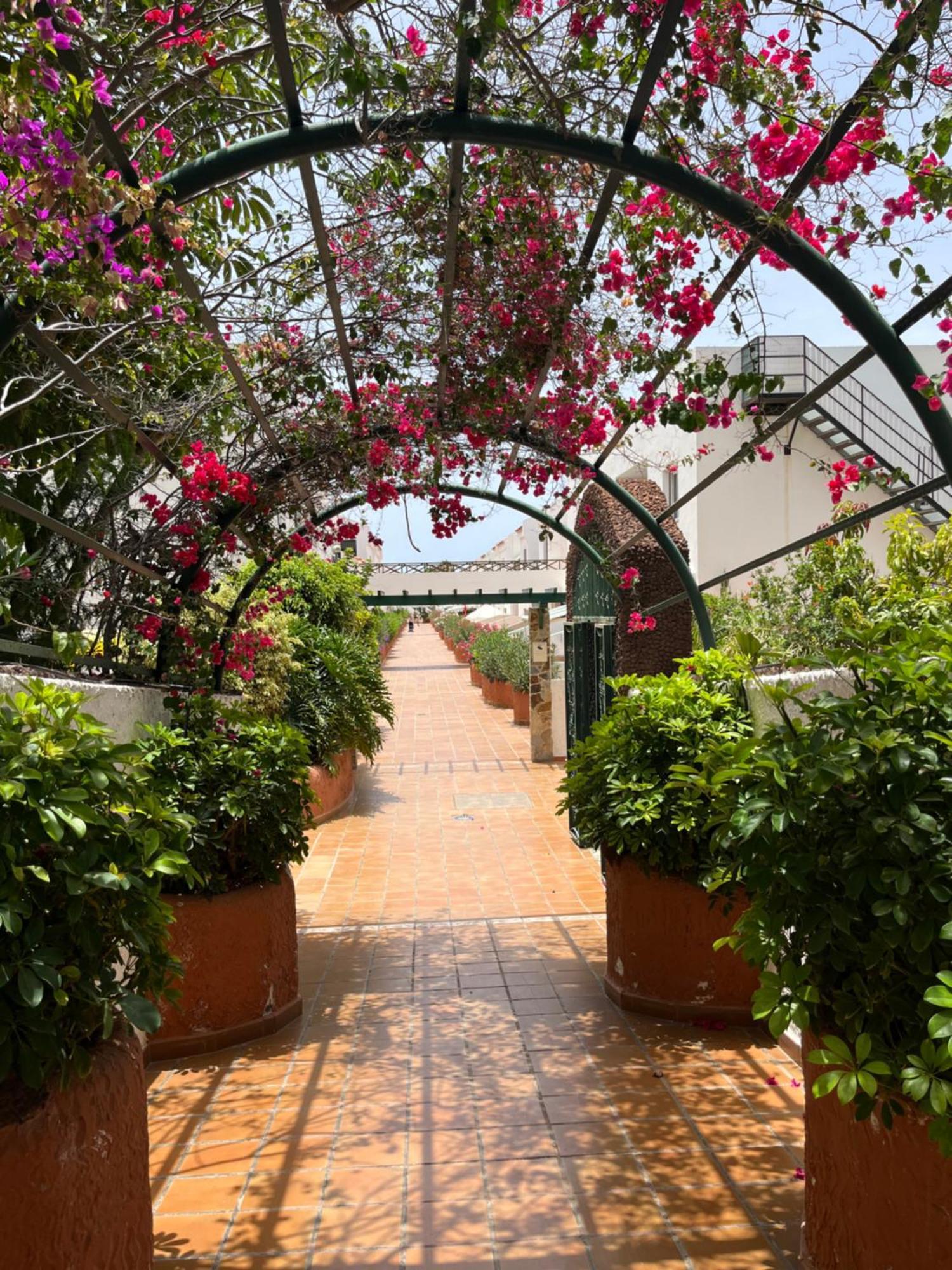 Casa Parque Don Jose 2 Διαμέρισμα Costa Del Silencio Εξωτερικό φωτογραφία